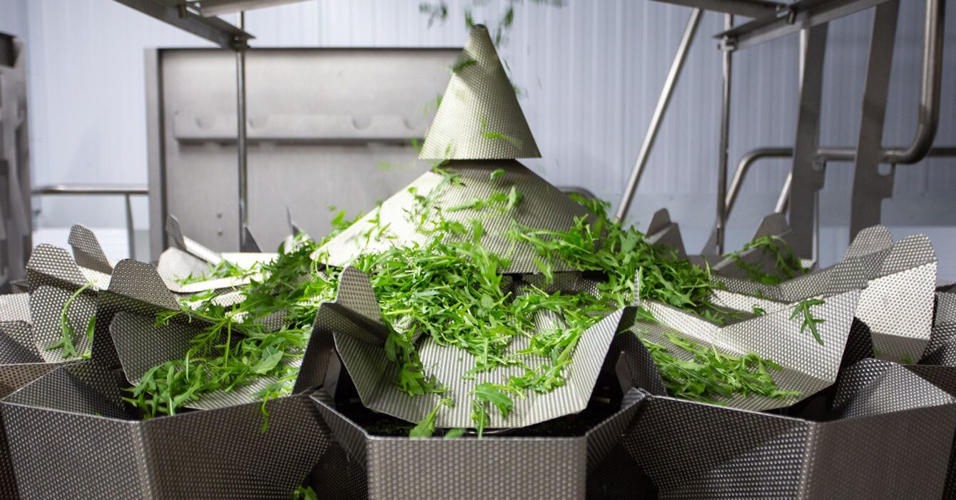 petr-magera-LjgdByZ8wYQ-unsplash petr-magera-LjgdByZ8wYQ-unsplash